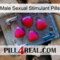 Male Sexual Stimulant Pills 13